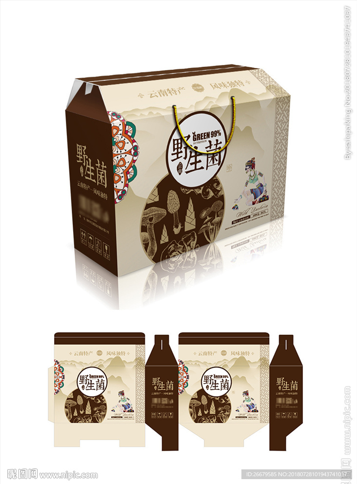 云南野生菌包装(平面图)