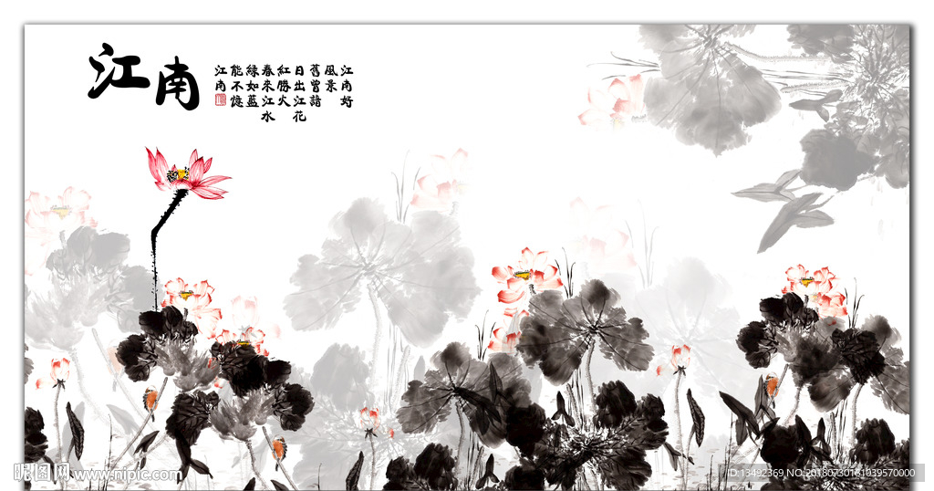 荷花