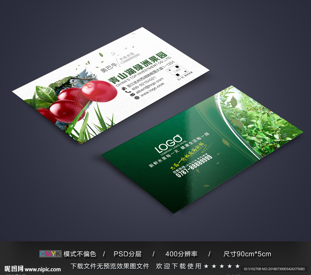 蔓越莓名片