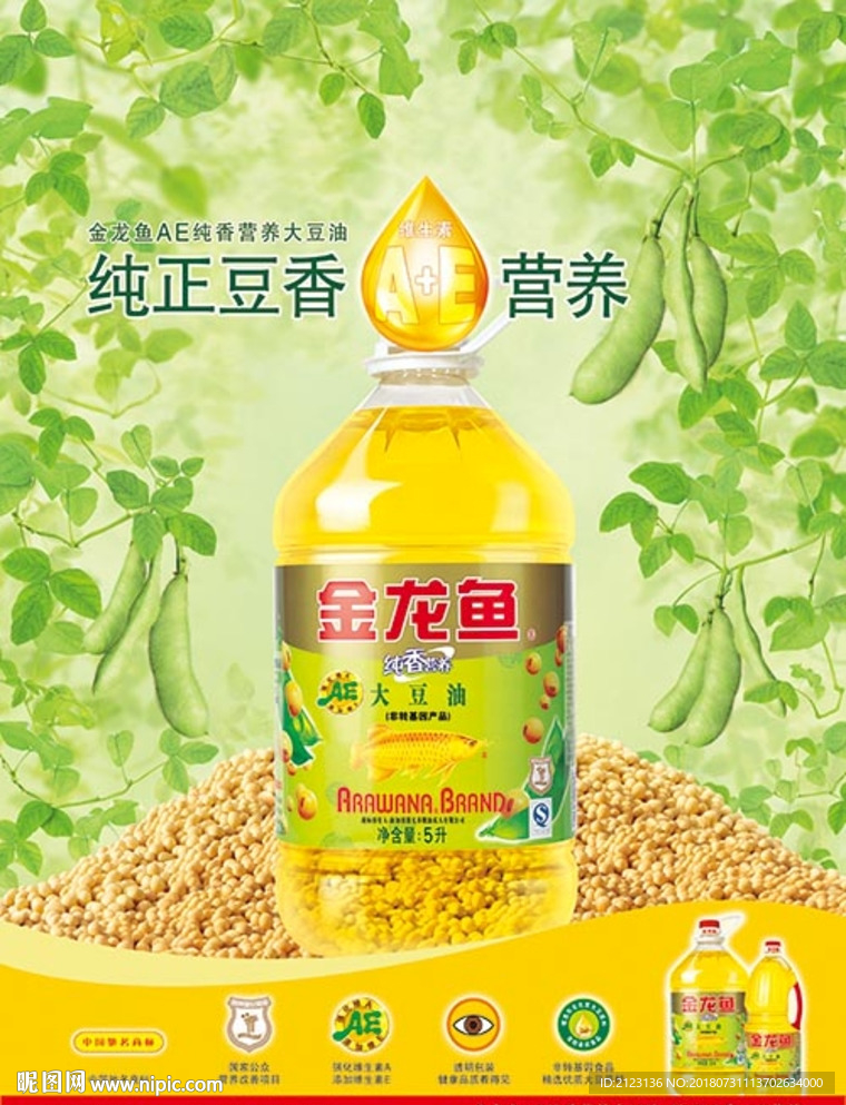黄豆海报