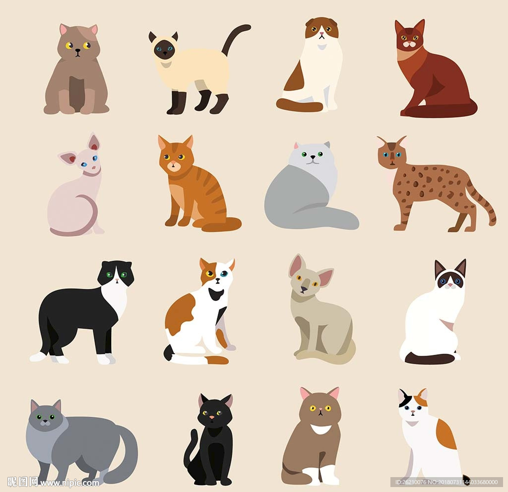 猫咪品种宠物猫咪矢量素材
