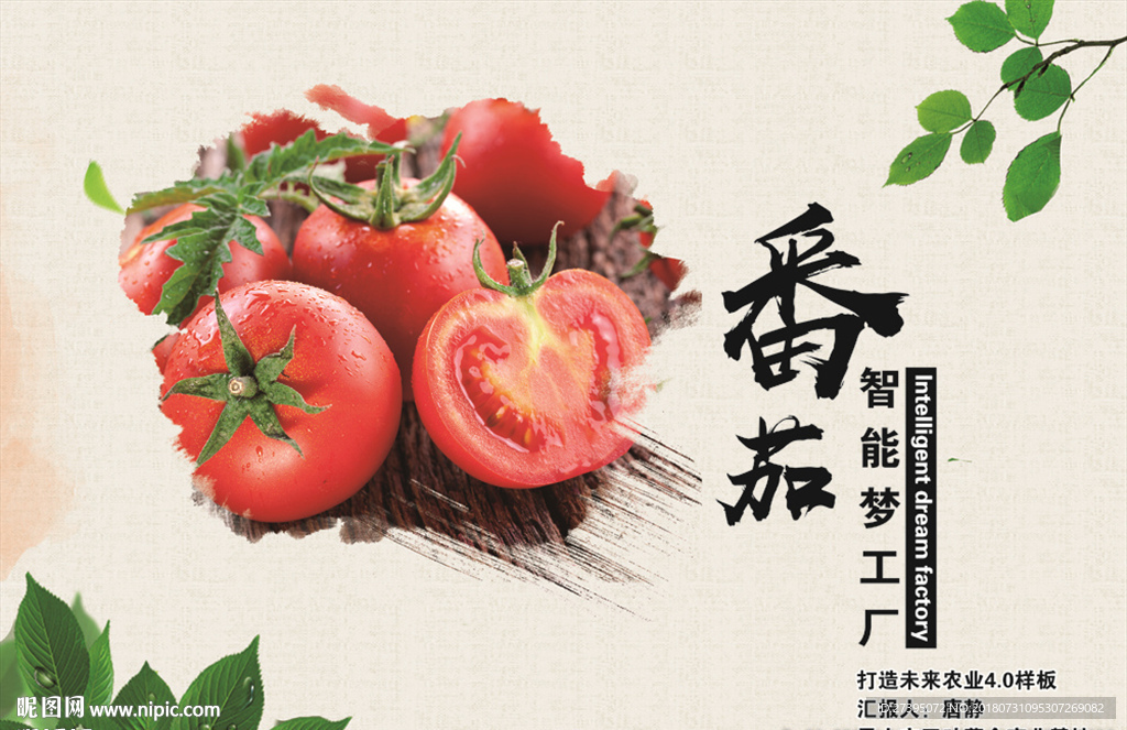 番茄海报