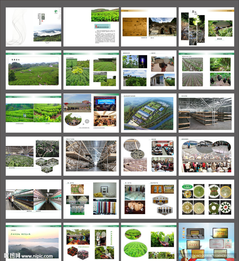 农业社会化服务示范县申报资料画