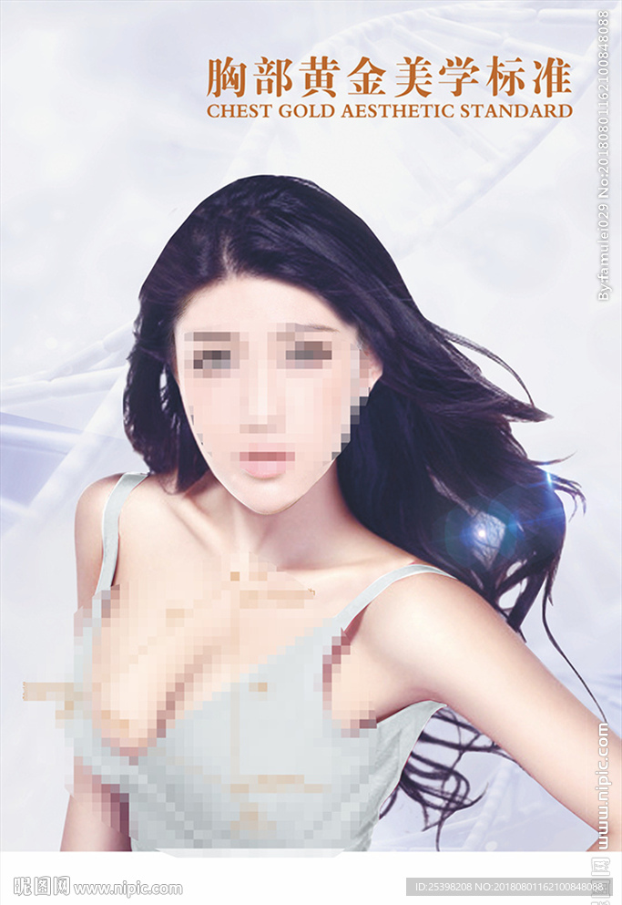 胸部美学