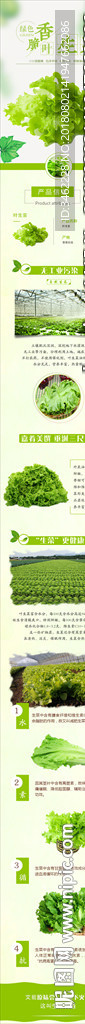 叶生菜详情页