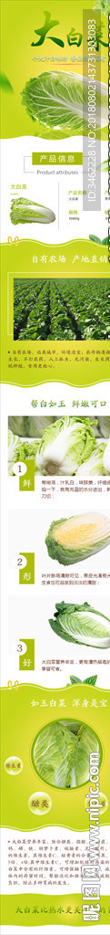 大白菜 白菜电商详情页设计