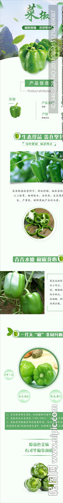菜椒 青椒电商淘宝详情页设计