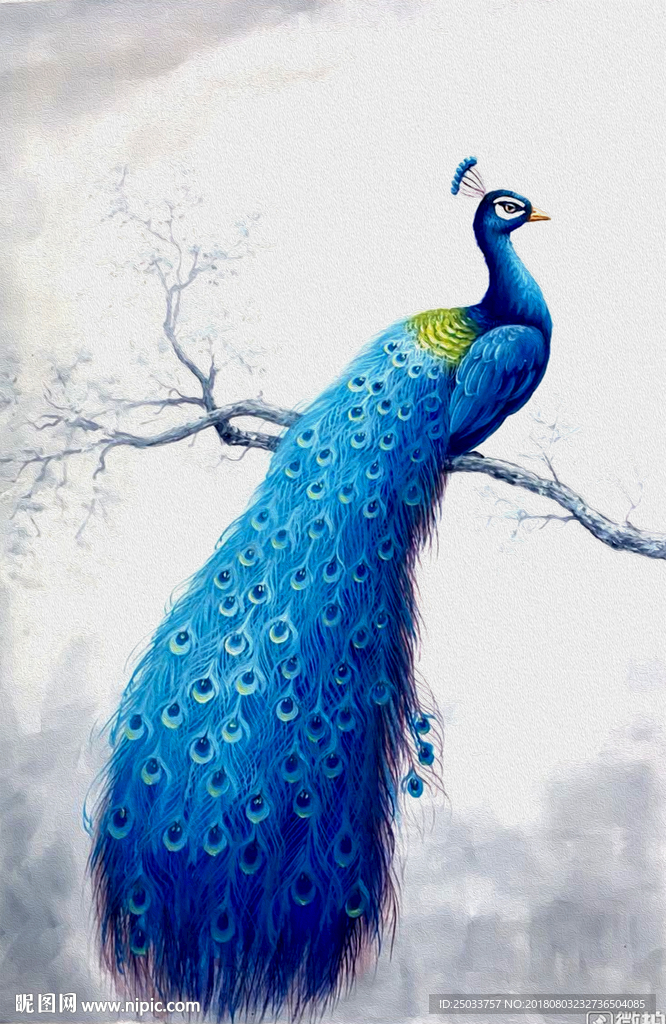 孔雀玄关中式玄关屏风背景底纹素