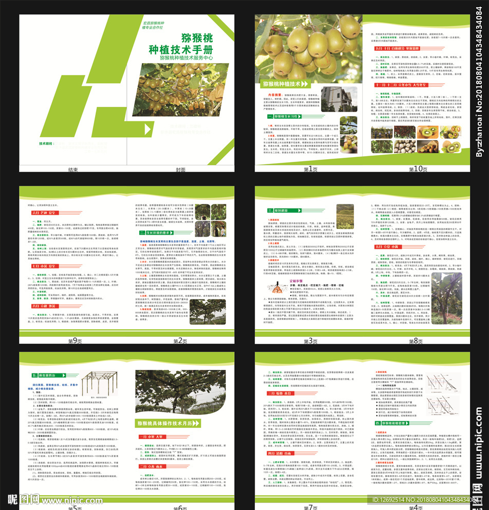 猕猴桃种植技术宣传手册