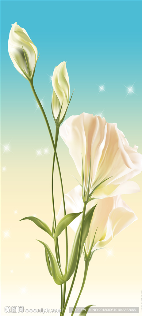 梦幻郁金香玄关