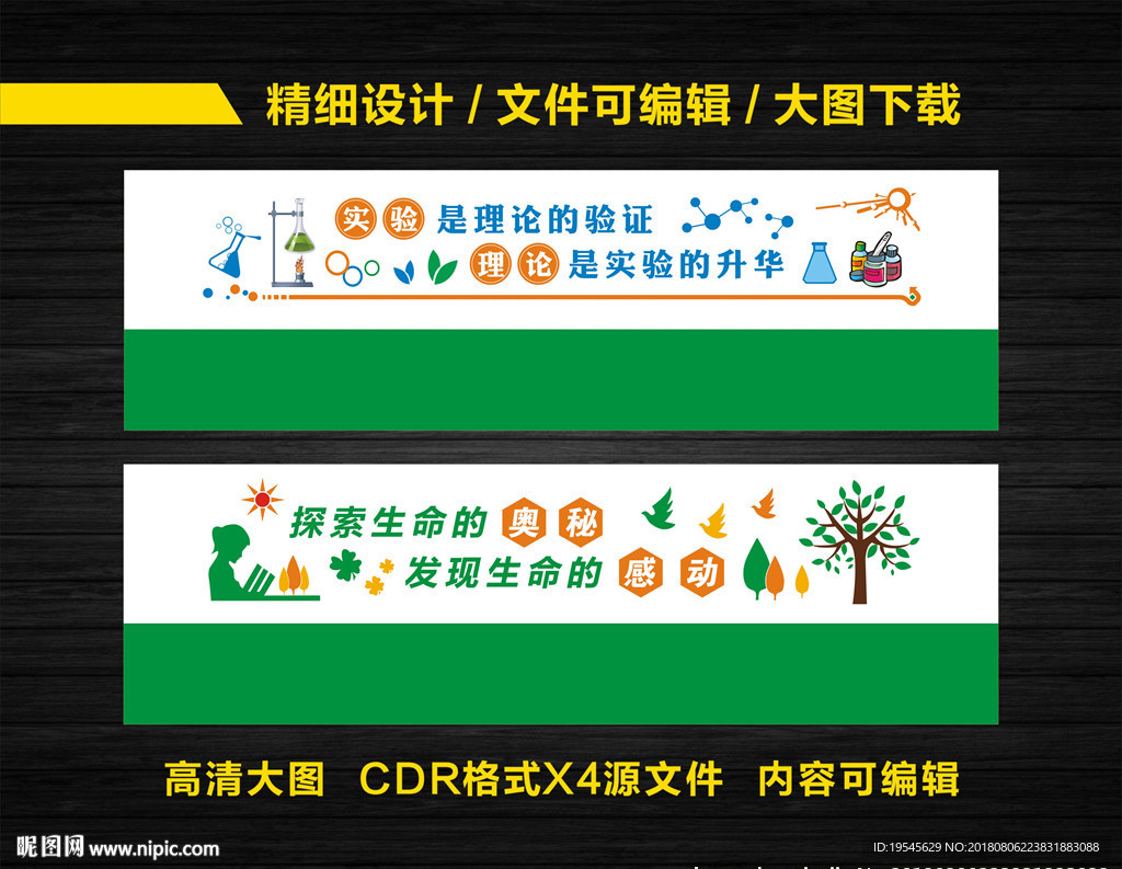 化学生物实验室文化墙