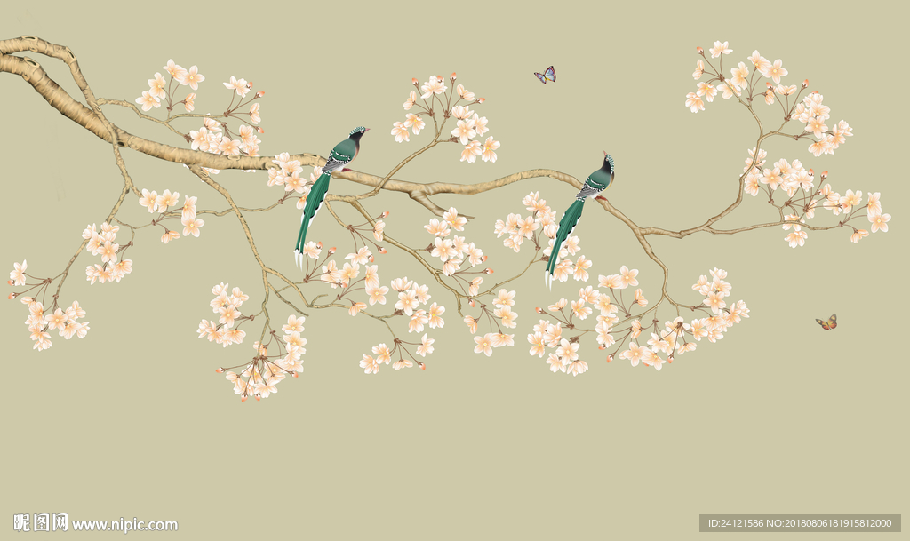 高清花鸟