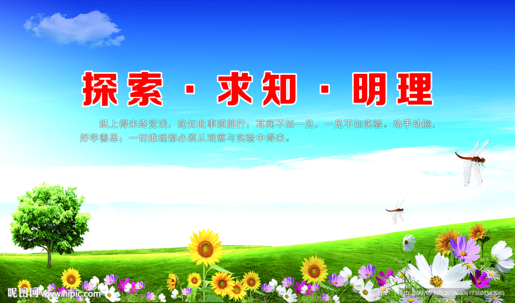 学校背景展板