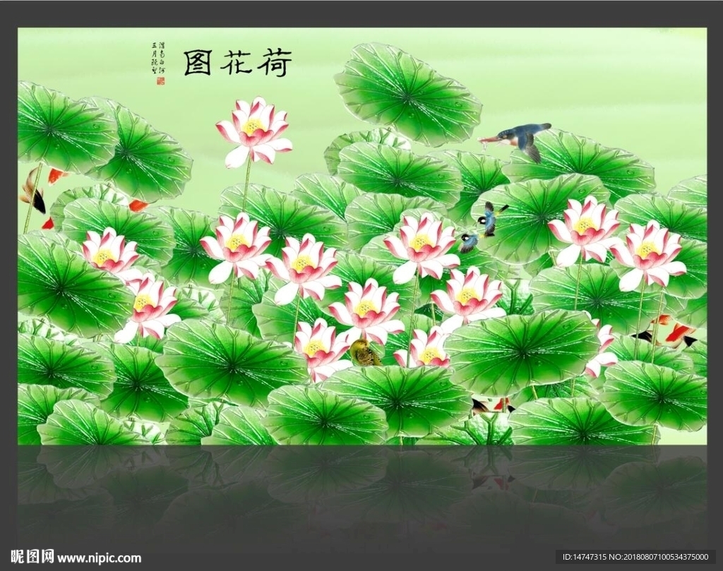 国画荷花