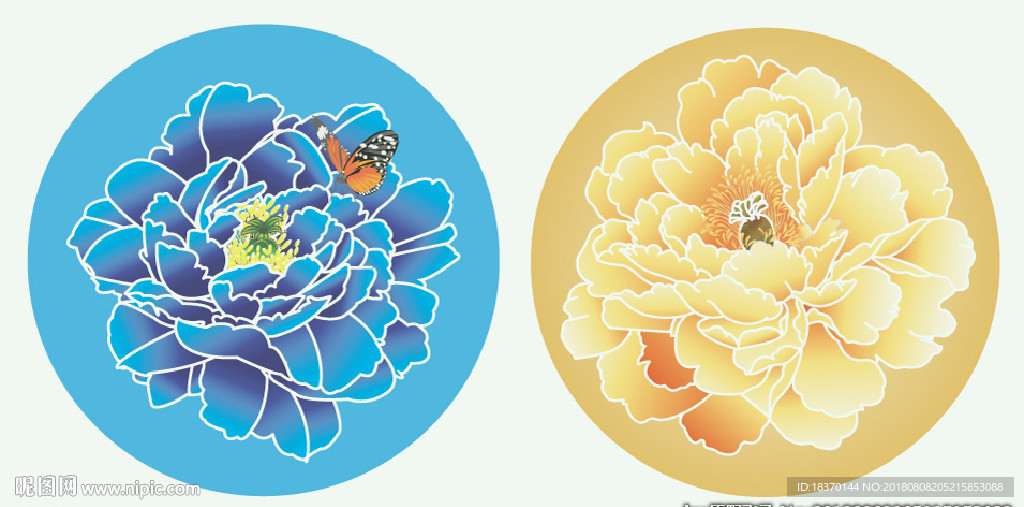 牡丹花