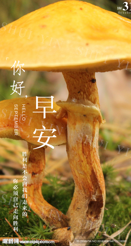早安