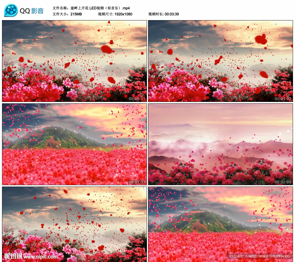 崖畔上开花 舞台大屏幕背景视频