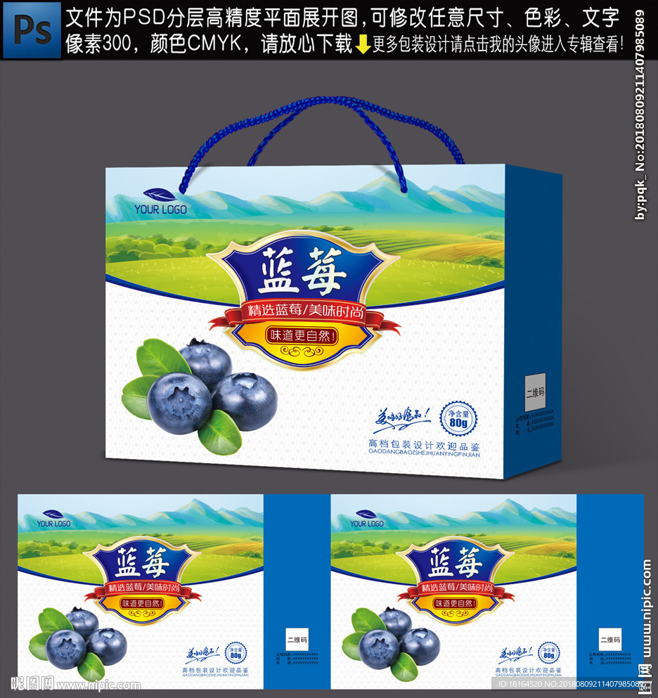 蓝莓包装