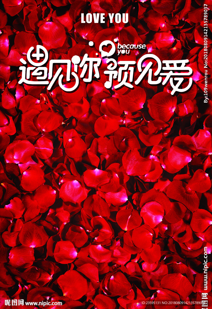 玫瑰花背景