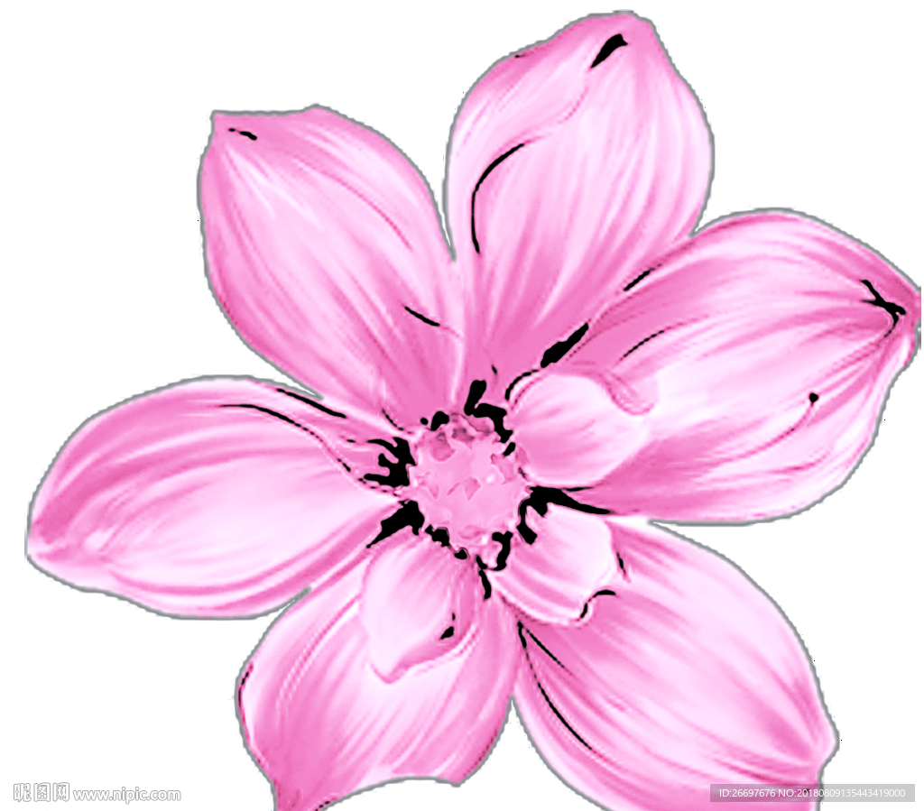 花卉
