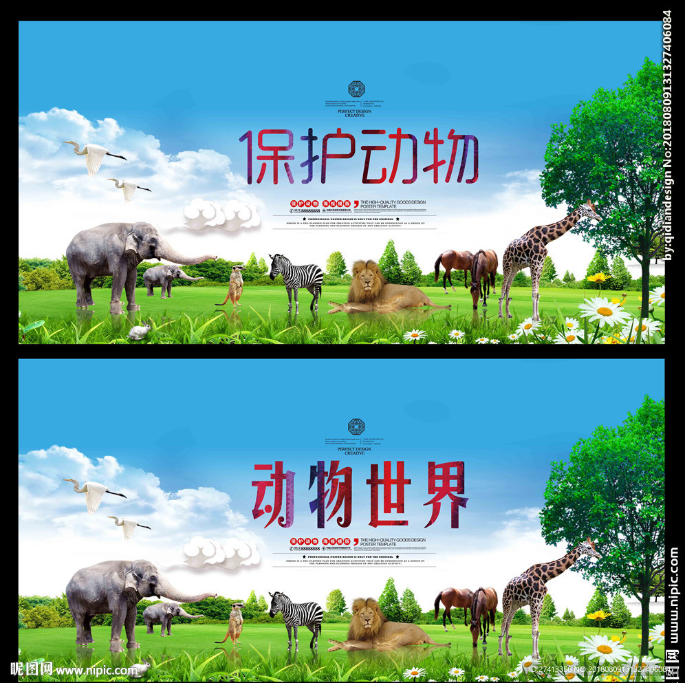 动物