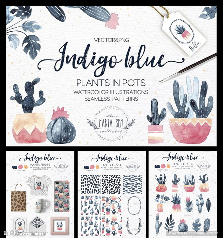 水彩多肉植物仙人掌盆栽插画