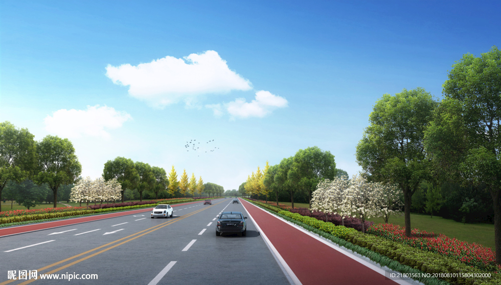 道路标准段