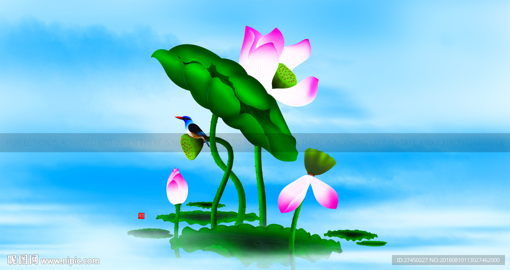 荷花