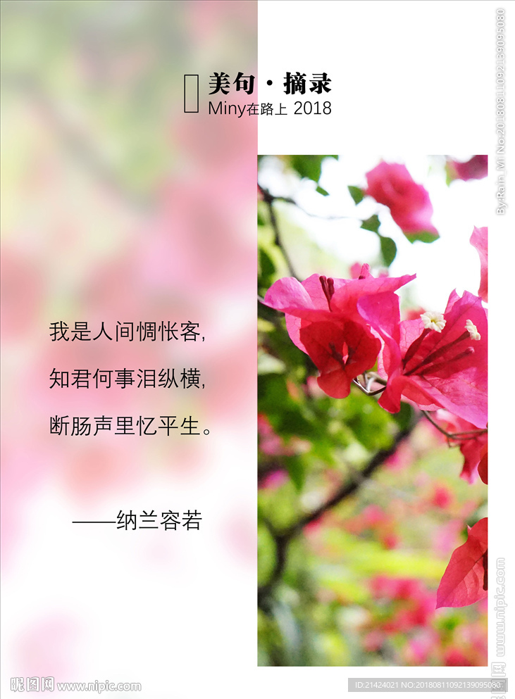 纳兰词图文