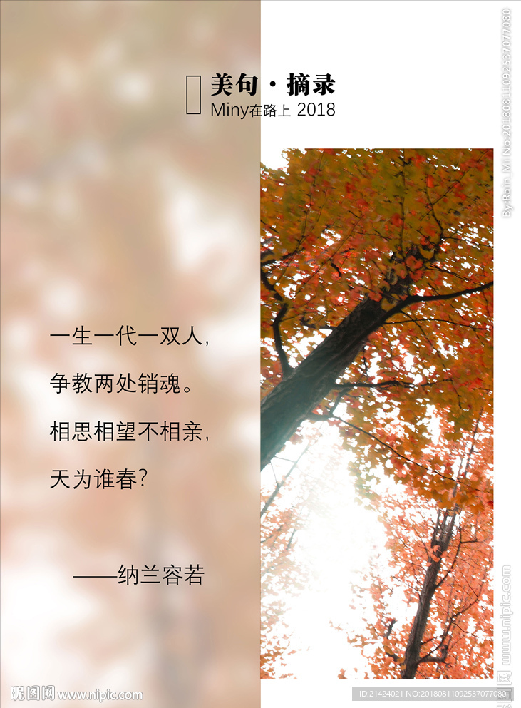 纳兰词图文