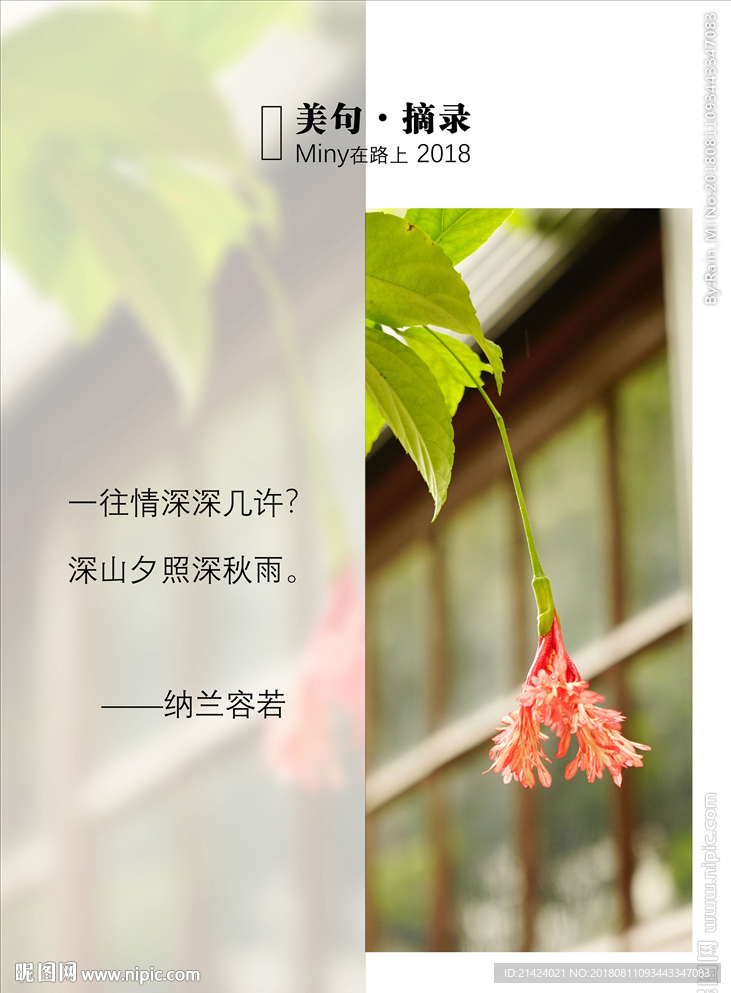 纳兰词图文