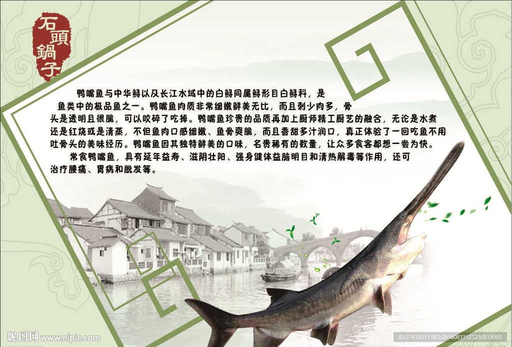 鱼简介