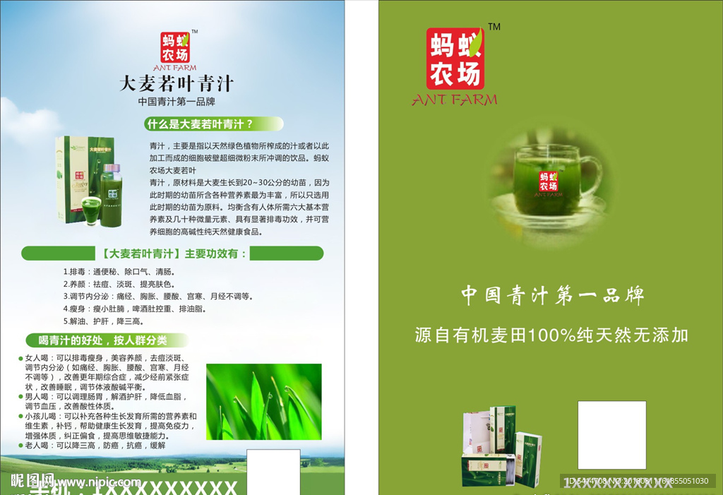 蚂蚁农场大麦若叶青汁宣传单