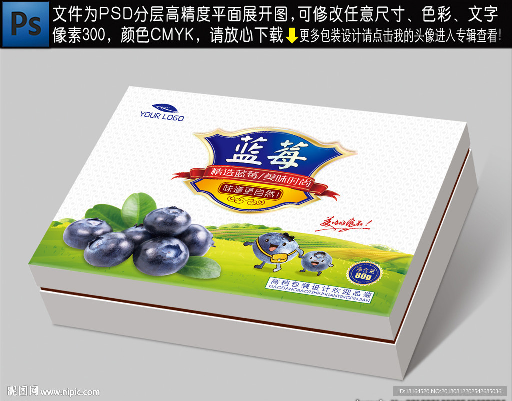 蓝莓包装