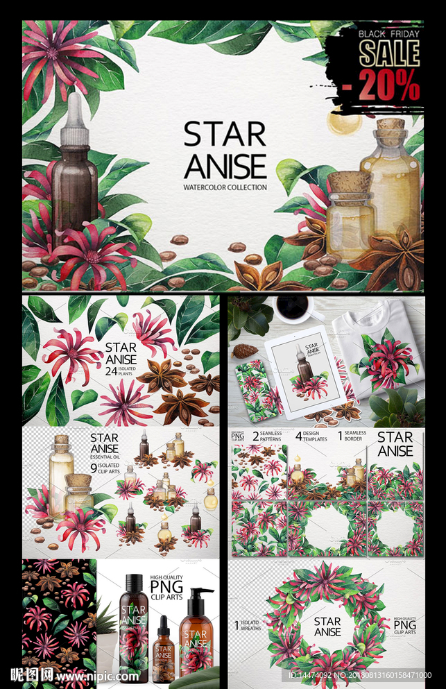 手绘水彩八角花卉插图