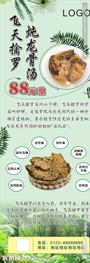 飞天擒罗 桫椤