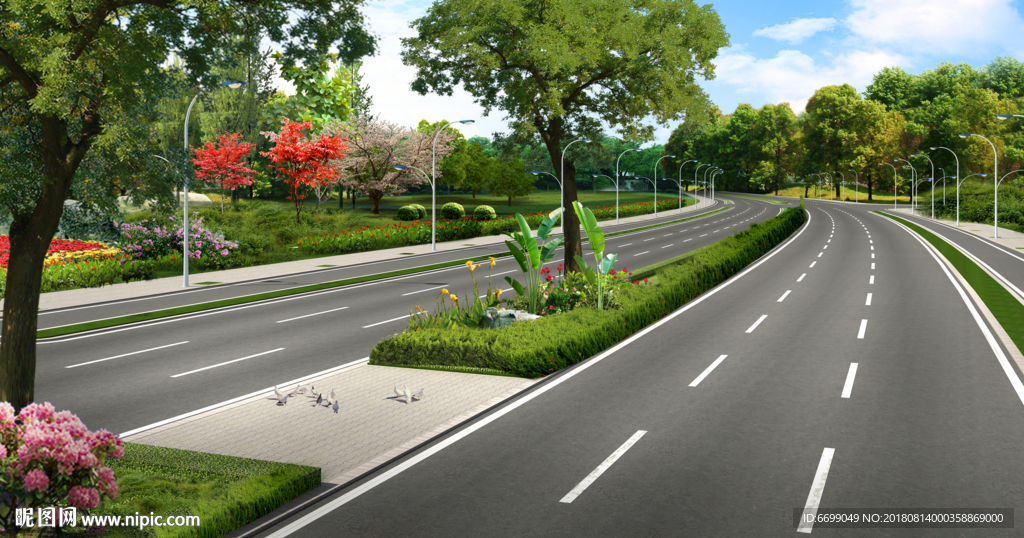 道路景观 公路绿化
