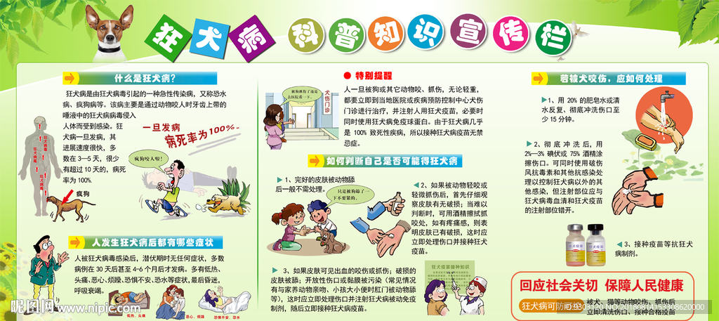 狂犬病科普知识