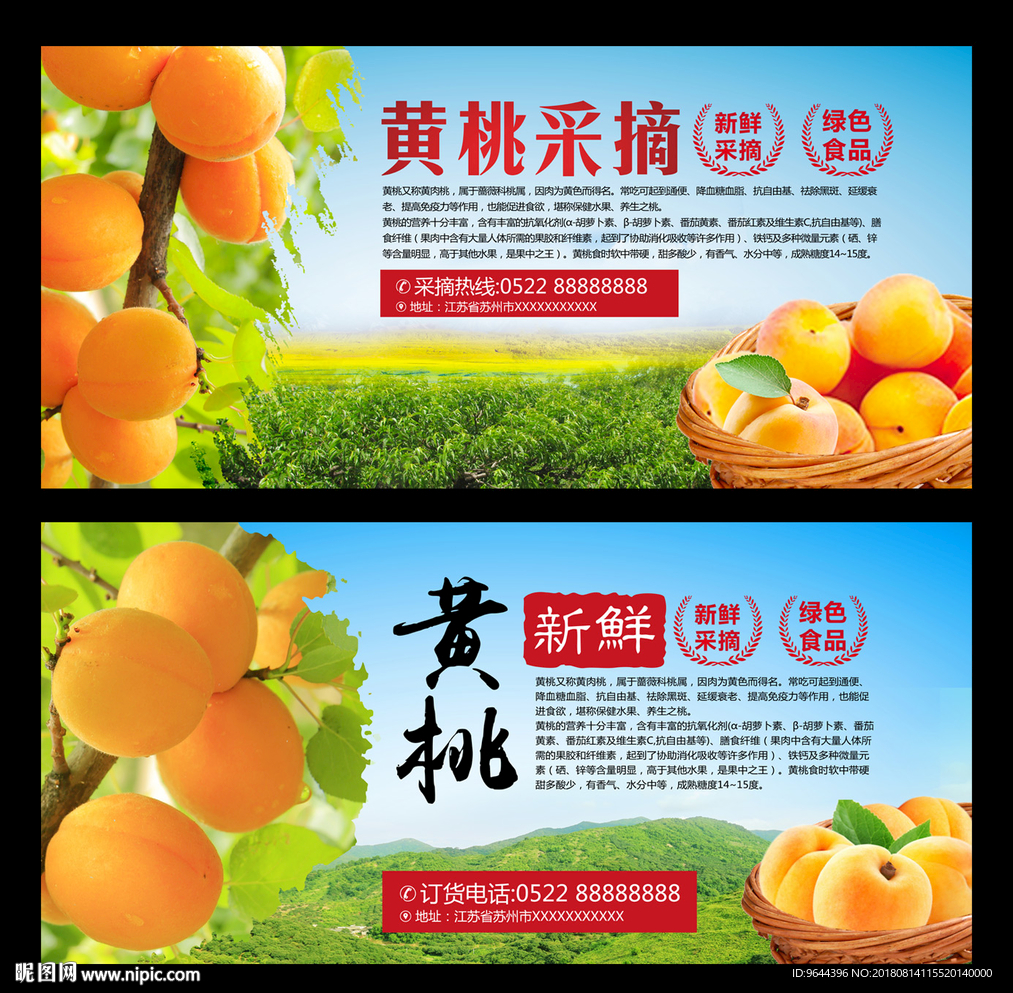 黄桃