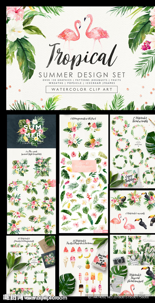 水彩热带花卉植物