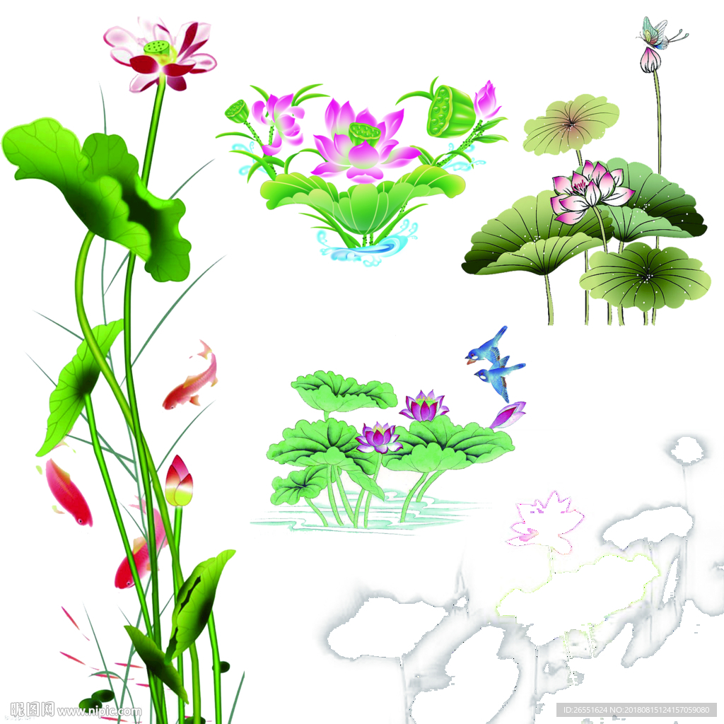 荷花