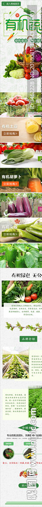有机蔬菜推广详情页