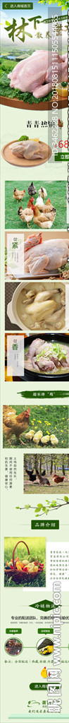 整鸡详情页设计生鸡肉