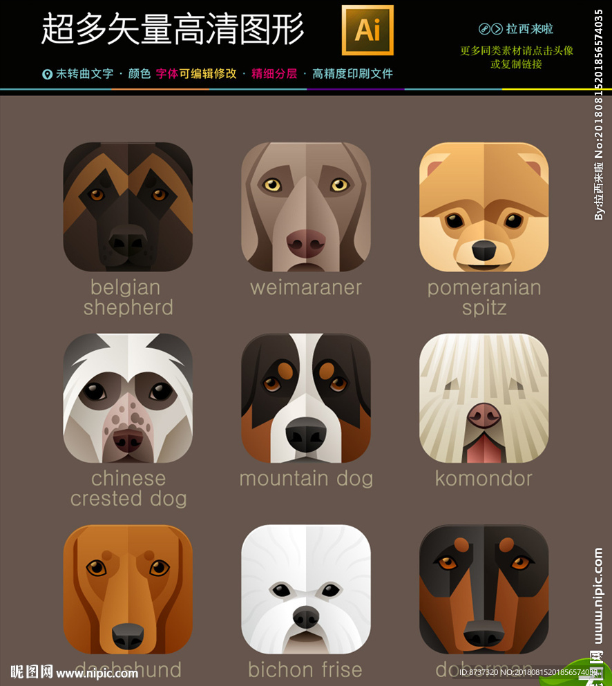 动物头像图标icons