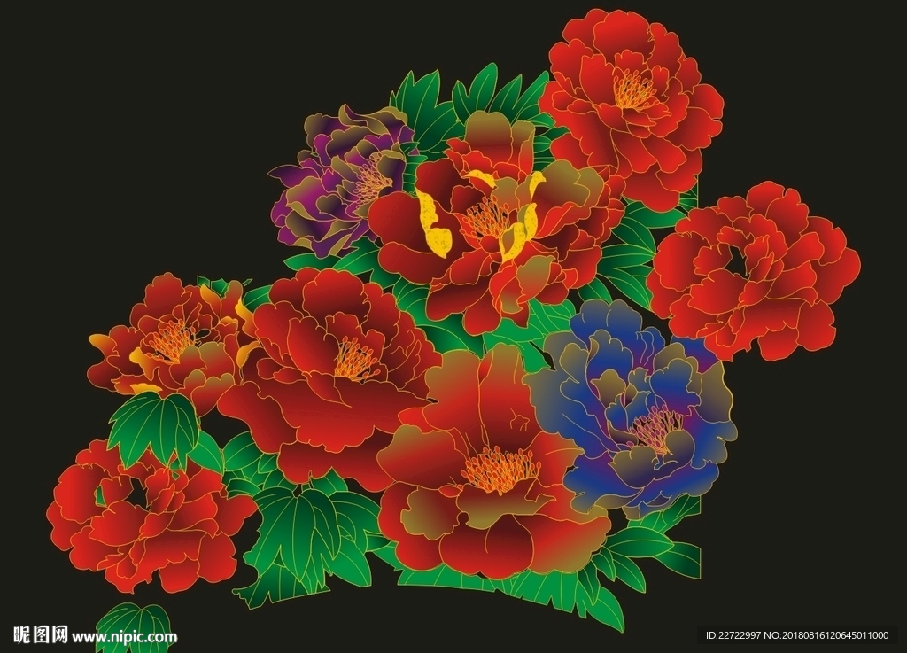 牡丹花