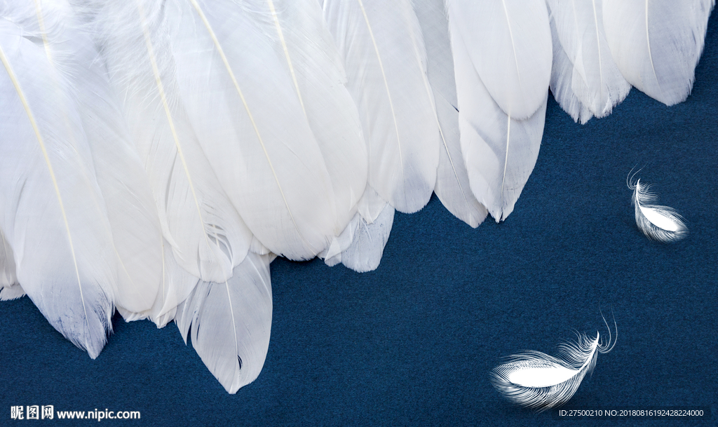 羽毛欧式背景墙