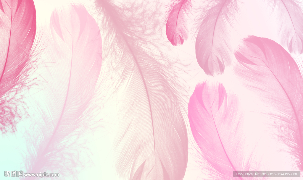 羽毛欧式背景墙