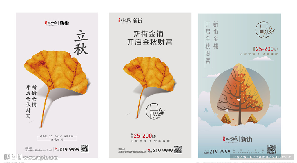 立秋 枫叶 枫树 叶子 绿色