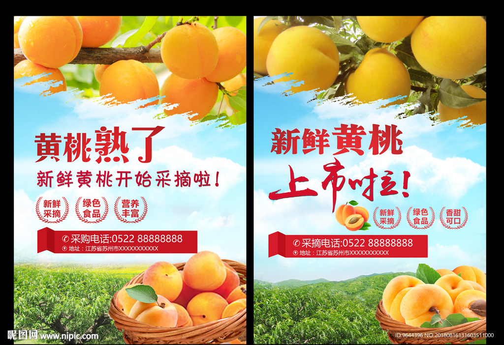 黄桃单页