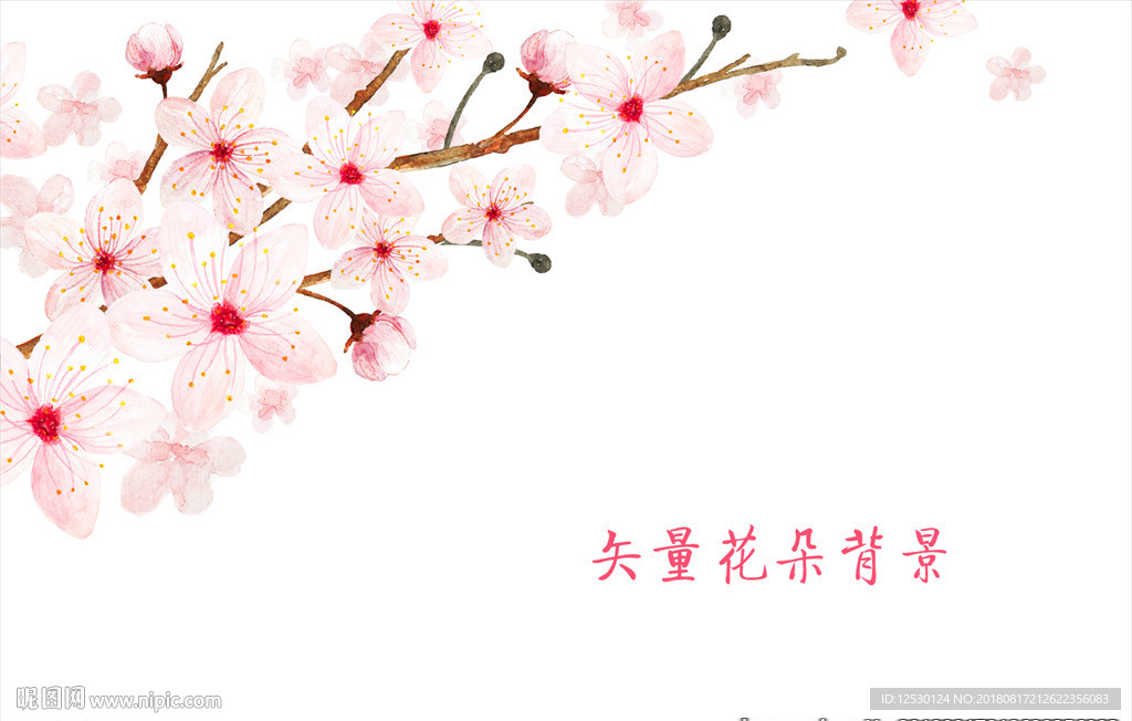 矢量花朵花束樱花海报广告背景